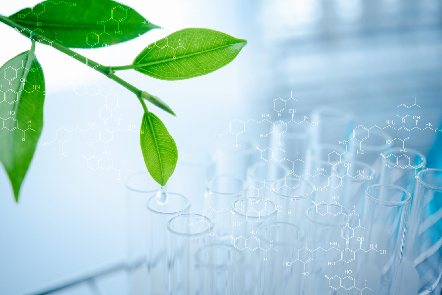 una goccia d'acqua che cade dalla foglia e dal laboratorio per il concetto di ozono