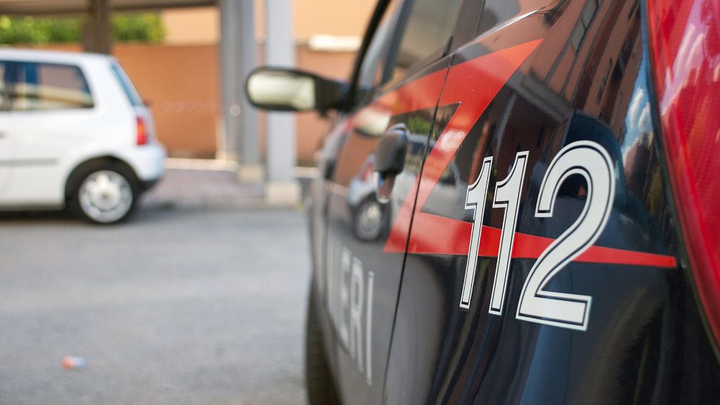 in foto una macchina dei carabinieri nas. rappresenta la notizia di chiuso centro nail